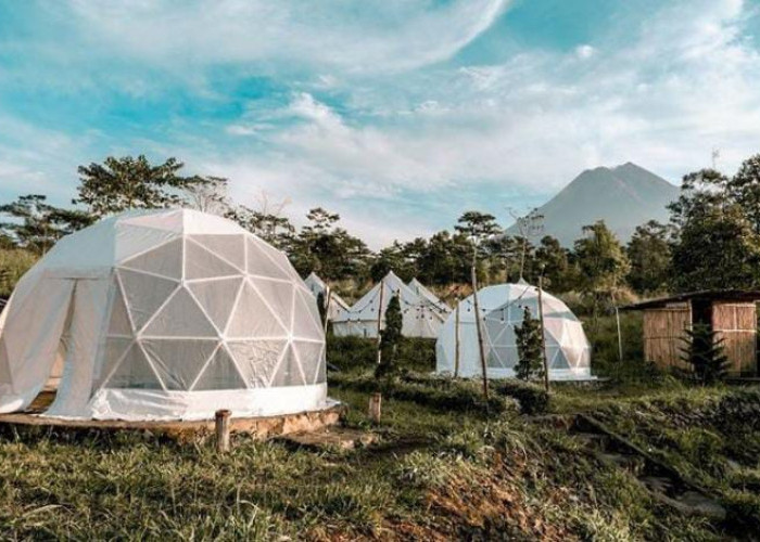 5 Glamping Yogyakarta yang Instagramable Banget! Nomor 3 Menggunakan Konsep Bubble Tent