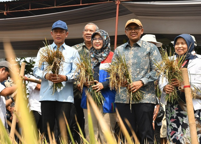 Batang Tahan Pangan, Tapi Lahan Rob Belum Selesai