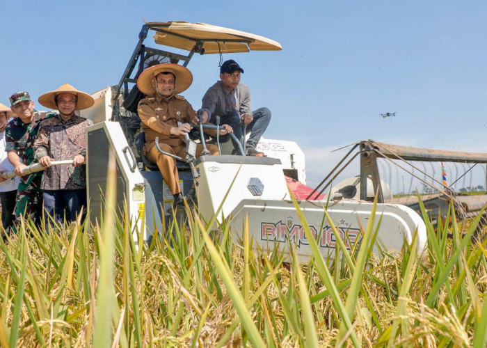 Target Nasional Terlampaui, Jawa Tengah Mantap Jadi Penyangga Pangan Nasional