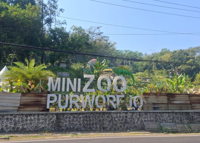 Mini Zoo Purworejo Tinggal Puing, Proyek Rp9,69 Miliar Berujung Korupsi dan Rugikan Negara Rp6,53 Miliar