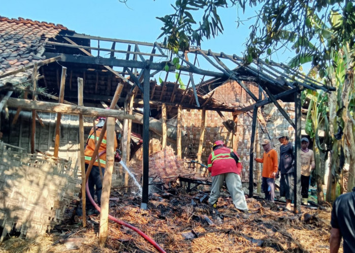 Kandang Jerami di Kaliori Rembang Terbakar, Diduga Akibat Sisa Pembakaran Kotoran Sapi
