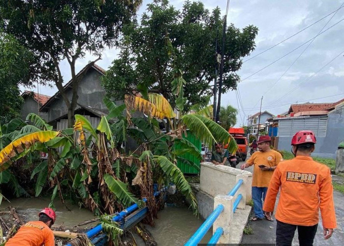 BPBD Kabupaten Tegal Gelar  Monitoring  Paska Banjir Landa 4 Desa