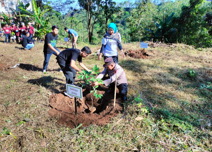 Aksi Jepara Menanam Atasi Lahan Kritis Wilayah Batealit 