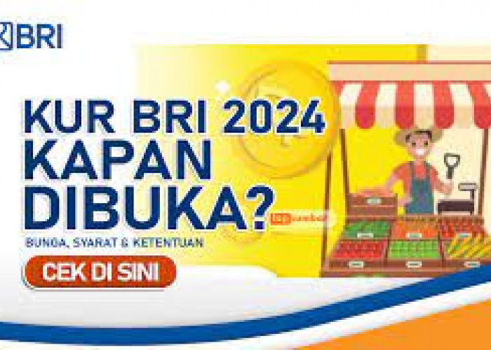 Pinjaman KUR BRI 2024 Kapan Dibuka? Inilah Syarat dan Prosedurnya yang Harus Kamu Ketahui