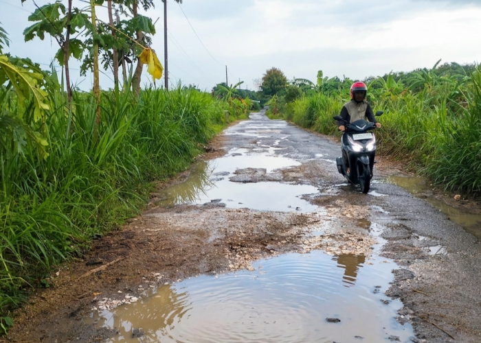 Pemkab Rembang Alokasikan Rp 277 Juta Perbaiki Jalan Sudan-Terjan