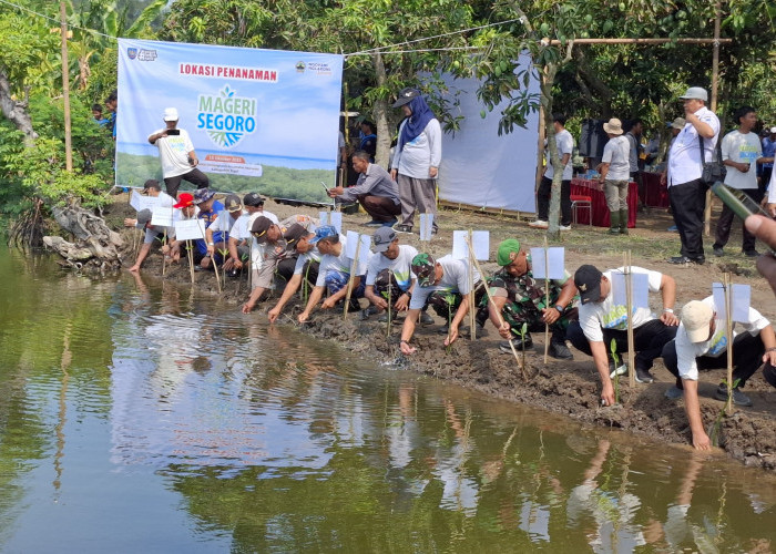 Berlanjut, Aksi Tanam Mageri Segoro 