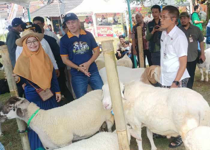 Jateng Pastikan Hewan Kurban Iduladha 2026 Sehat, Populasi Ternak Capai 6,4 Juta Ekor