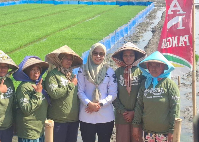 Demak Kejar Swasembada Pangan, Bantuan Alsintan Rp10 Miliar dan 93 Irigasi Perpompaan Disiapkan