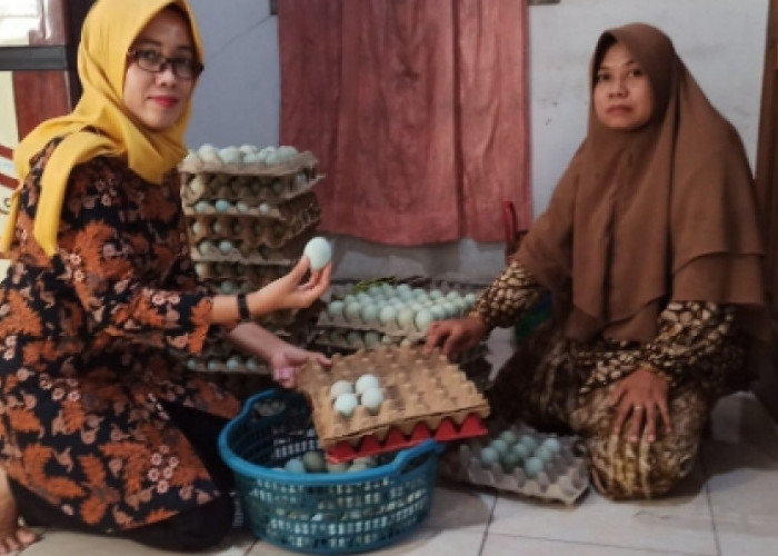 Usaha Rumahan Pembuatan Telur Asin di Bantarbolang Kabupaten Pemalang Bisa Beri Tambah Penghasilan