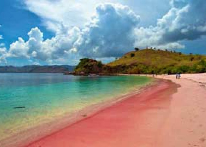 7 Pantai dengan Pasir Pink di Indonesia, Sensasi Baru untuk Menyambut Tahun Baru