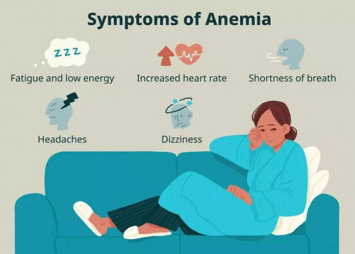 Ini Dia 6 Cara Mencegah Penyakit Anemia