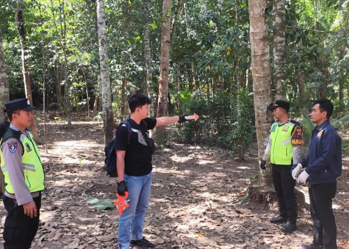 Tragis, Penderes Nira di Puring Kebumen Meninggal Setelah Jatuh dari Pohon Kelapa