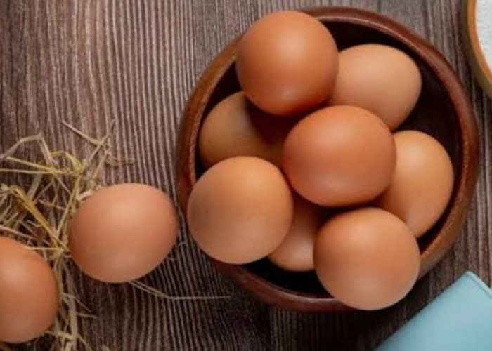 Inilah Manfaat Telur yang Bagus untuk Kesehatan