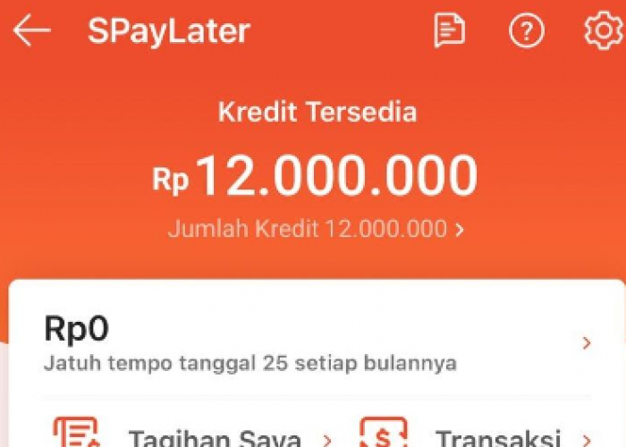 Mengatasi Shopee Paylater yang Muncul Coba Lagi Nanti dengan Mudah