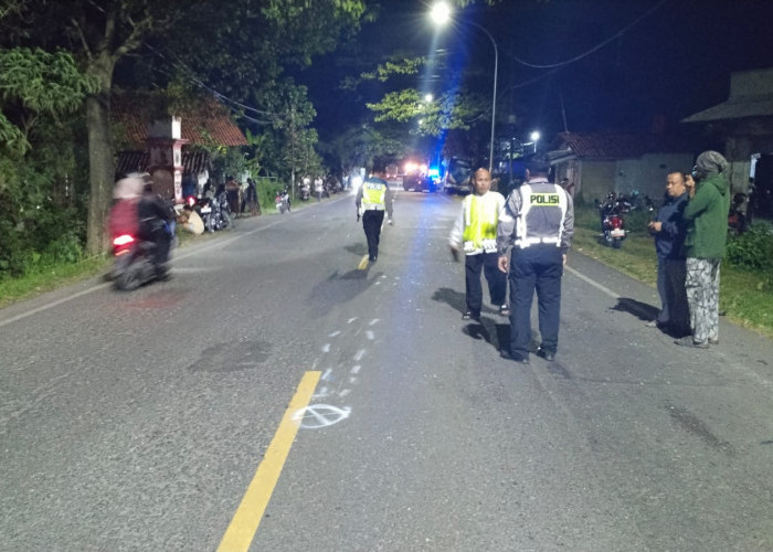 Dilibas Bus Elf, Pengendara Motor di Kabupaten Tegal Tewas di Lokasi