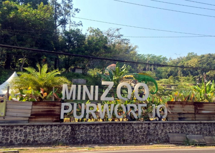 Kejari Purworejo Buka Peluang Tambah Tersangka Kasus Mini Zoo Jika Ada Fakta Baru di Persidangan