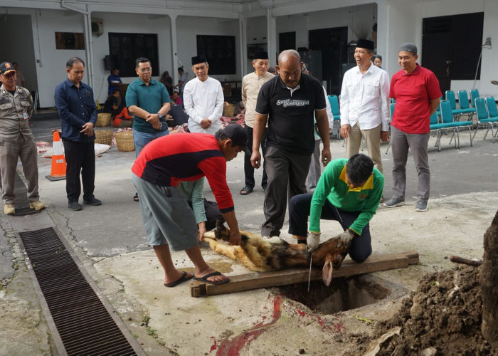 Sekda Salatiga : Hewan Kurban Pemkot untuk 500-an Tenaga Non ASN