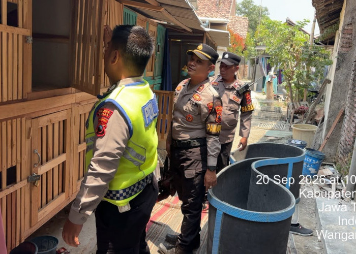 Polres Tegal Amankan Terduga Pelaku Sabung Ayam di Talang, Tindaklanjut dari Aduan 110