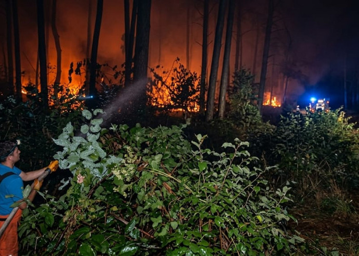 Kemarau Mulai Ganas! Dua Hari Berturut-turut, 4 Musibah Kebakaran Berkecamuk di Lokasi Berbeda