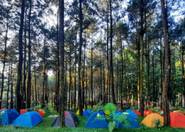 7 Tempat Kemping Paling Populer di Jawa Tengah, Wajib Kunjungi!