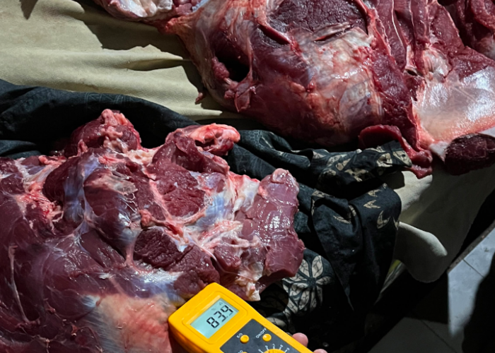 Temuan Daging Sapi Gelonggongan di Pasar Raya Salatiga, Dispangtan : Kadar Air 83,8% – 85,6%