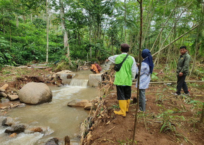 1.817 Hektare Sawah Terdampak Banjir Batang, Irigasi Banyak yang Rusak 