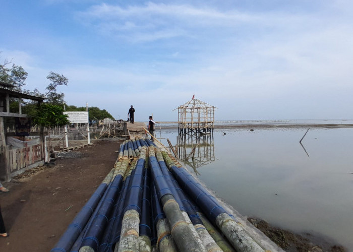 Demak Diprioritaskan Jadi Titik Awal Giant Seawall, Hybrid Seawall Mulai Dibangun 2026