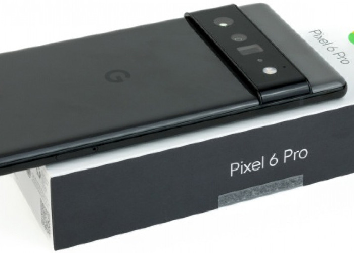 Hp Google Pixel 6 Pro, Surganya Smartphone Android 2024