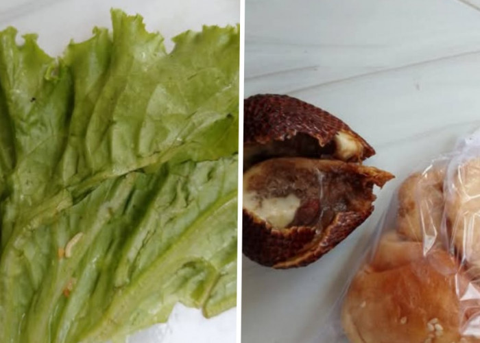 Menu MBG Buah Busuk dan Sayur Berbelatung Dikeluhkan Ortu Siswa di Losari Brebes