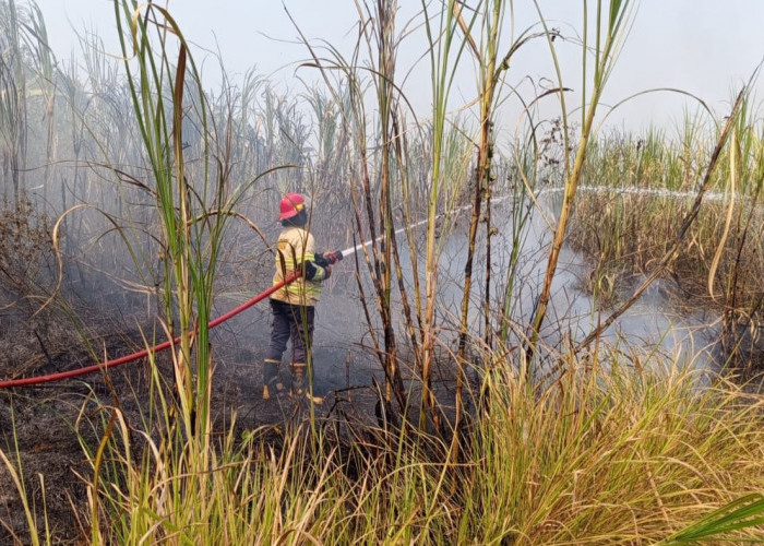 23 Kebakaran Lahan Terjadi di Batang, 14 Kasus Dipicu Bakar Sampah