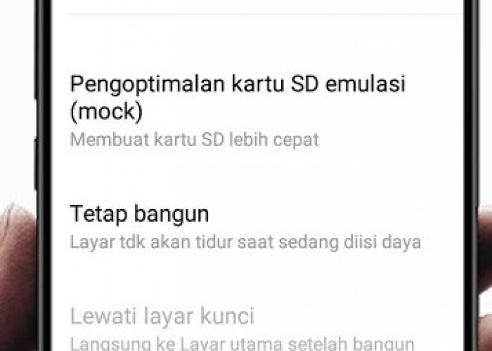 Mematikan Mode Pengembang di Android dan iPhone