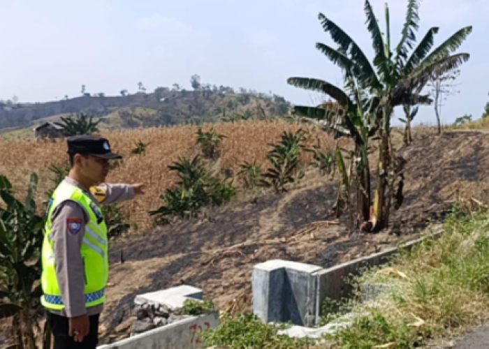 Satelit NASA-MODIS Mendeteksi Titik Panas di Pringapus Kabupaten Semarang