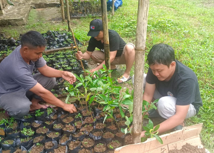 Lintas Komunitas Peduli Pekalongan Gelar Aksi Pembibitan Hutan Petungkriyono 