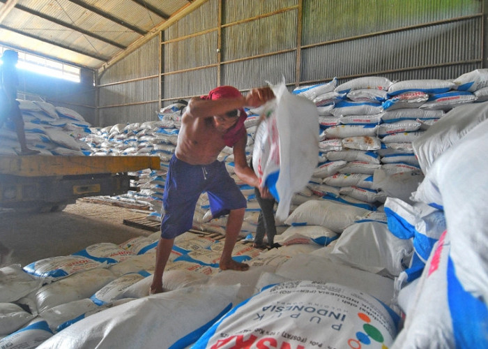 Pekerja melempar pupuk bersubsidi saat bongkar di GPP PT Pupuk Indonesia di Tawangharjo - Purwodadi, Kabupaten Grobogan, Jawa Tengah, Rabu (24/12/2025). Untuk wilayah Grobogan, Pupuk Indonesia mengalokasi pupuk subsidi tahun 2025 sebanyak 155.505,4 ton, dengan rincian: urea 82.000 ton, NPK 63.000 ton, organik 10.500 ton, dan ZA 5,4 ton. (Achmad Fazeri/Disway Jateng)