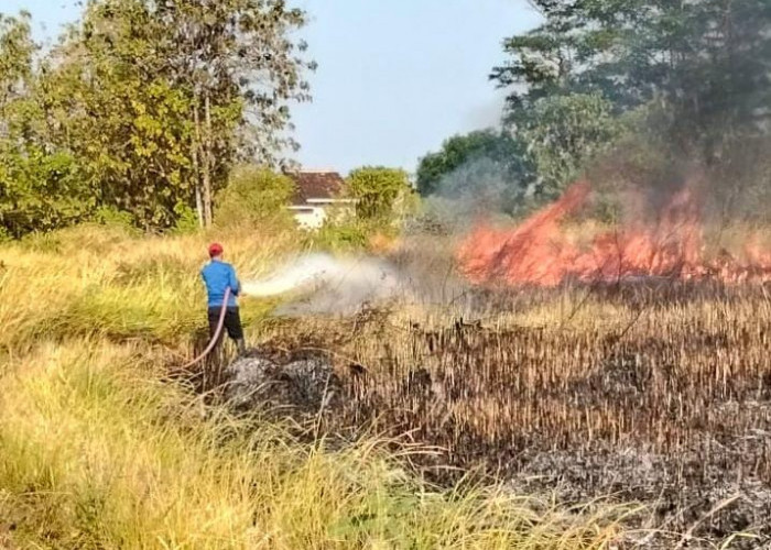 Sehari, Tiga Insiden Kebakaran Terjadi di Tegal, Kelalaian Jadi Biang Kerok