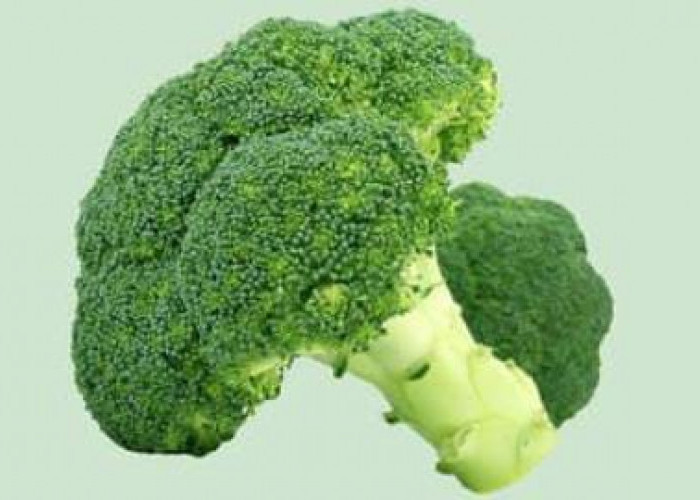 7 Manfaat Sayur Brokoli untuk Kesehatan Anak Kecil Kita