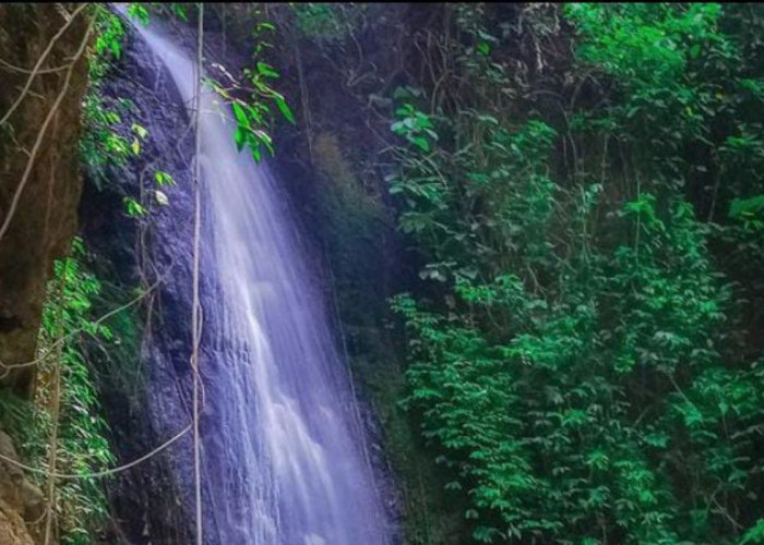 Nikmati Liburan dengan Suasana Tenang, Yuk Kunjungi Hidden Gem di Kuningan