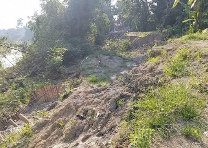 Longsor Tanggul Sungai Lusi di Kuripan Grobogan Semakin Parah, Ini Respon Pihak Terkait