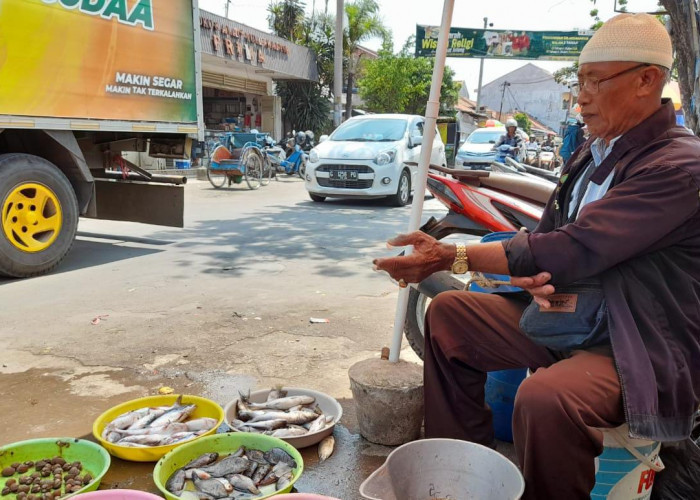 Menabung Puluhan Tahun, Lansia Pedagang Ikan Lesehan di Pasar Brebes Naik Haji Plus