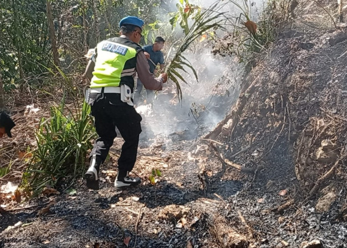 Lahan 1,3 Hektare di Grenggeng Kebumen Terbakar, Diduga Berawal dari Pembakaran Sampah