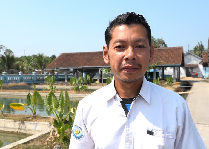 Fenomena Bediding Ancam Budidaya Ikan, BBI Pringtutul Kebumen Perketat Perawatan Indukan