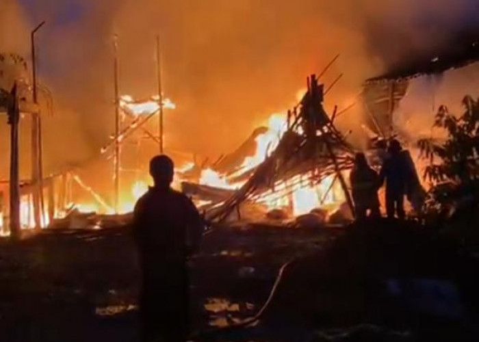 Kandang Berisi 45.000 Ayam di Brati Terbakar, Kerugian Capai Rp 2,5 Miliar