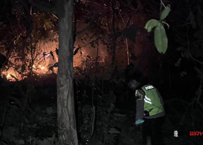 Lahan Perhutani di Buayan Kebumen Terbakar, Sekitar 5 Hektare Terdampak