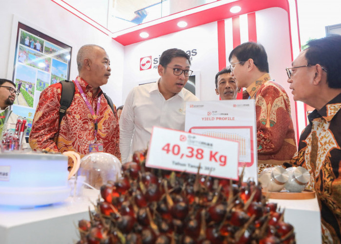 Targetkan Indonesia Jadi Penentu Harga Sawit Dunia, Wamentan Sudaryono: B50 Jadi Alat Bargaining 