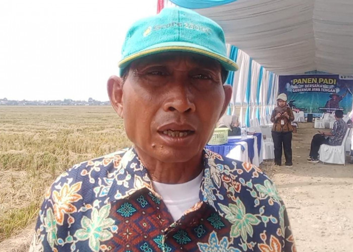 Hasil Panen Padi Melimpah, Petani Kedung Banjar Pemalang Sampaikan Keluhannya