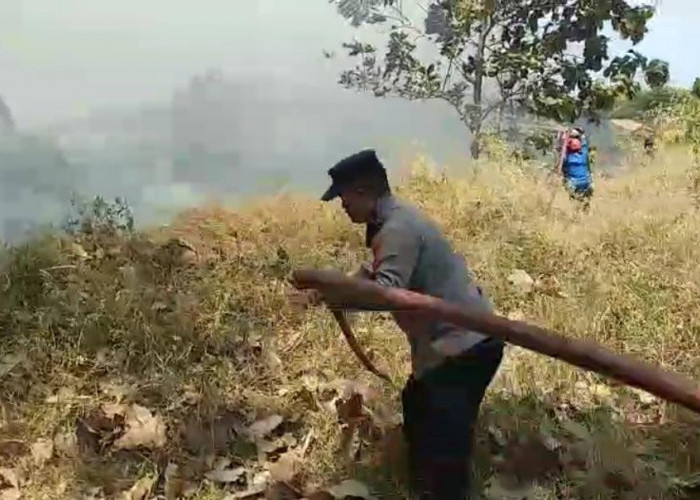 Hitungan Jam, Pabrik Kasur dan Bengkel Kayu di Tegal Ludes Terbakar