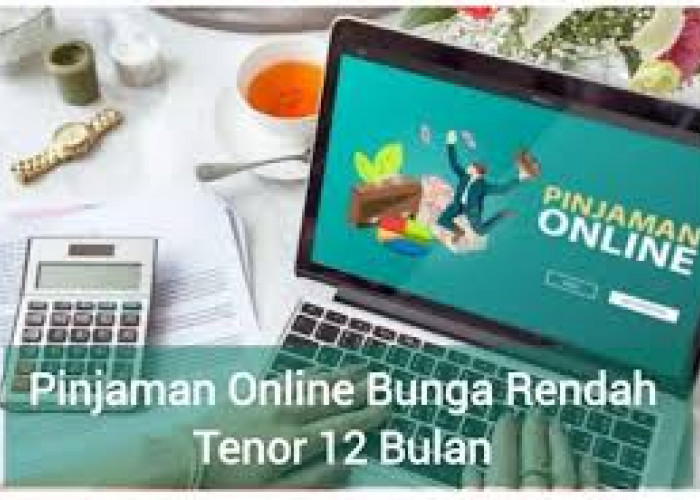 5 Pinjol Bunga Rendah Tenor 12 Bulan yang Terdaftar OJK, Limit hingga Rp30 Juta