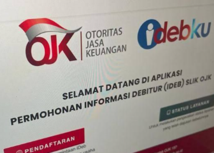 4 Cara Mengecek Nama di SLIK OJK