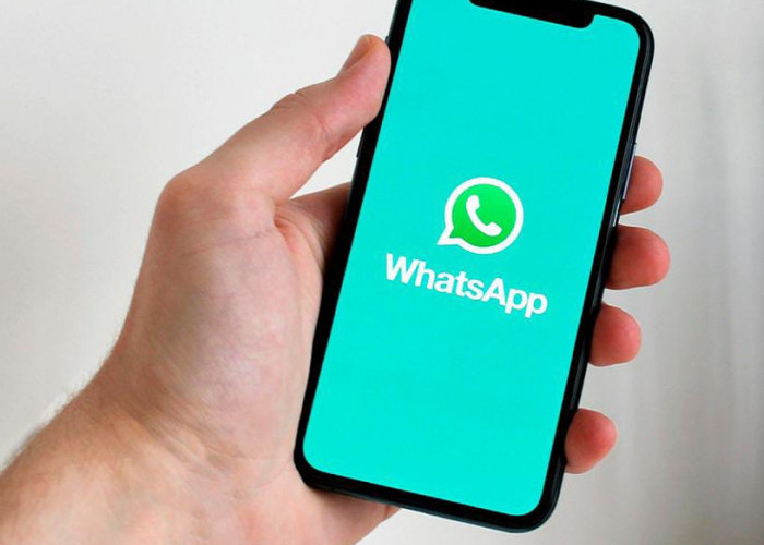 Berbagi Layar WhatsApp Selama Panggilan Video untuk Presentasi Cepat