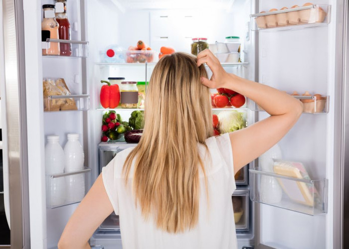 Kulkas Rumah Tidak Dingin? 6 Kebiasaan Ini yang Menyebabkan Kulkas Tidak Dingin